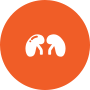 Poradnia Urologiczna Poradnia Urologiczna